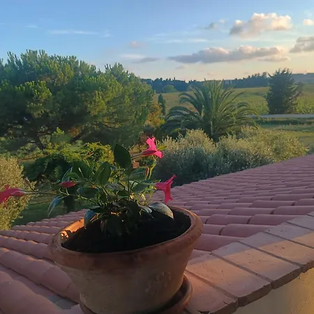 Novi Tuscany * Mortaiolo