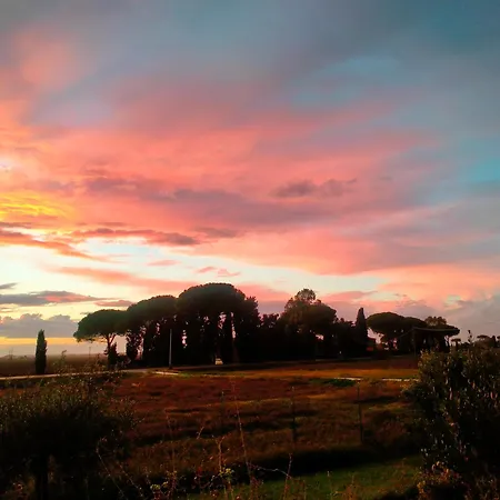 Novi Tuscany